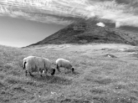 Isle of Lewis and Harris